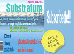 revista