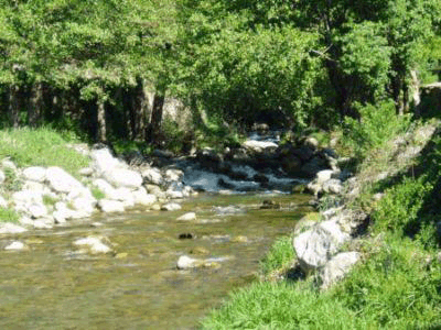 Valle