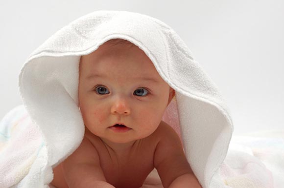 bebe