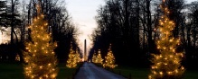 navidad