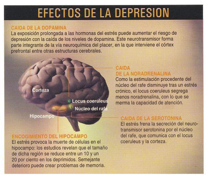dep