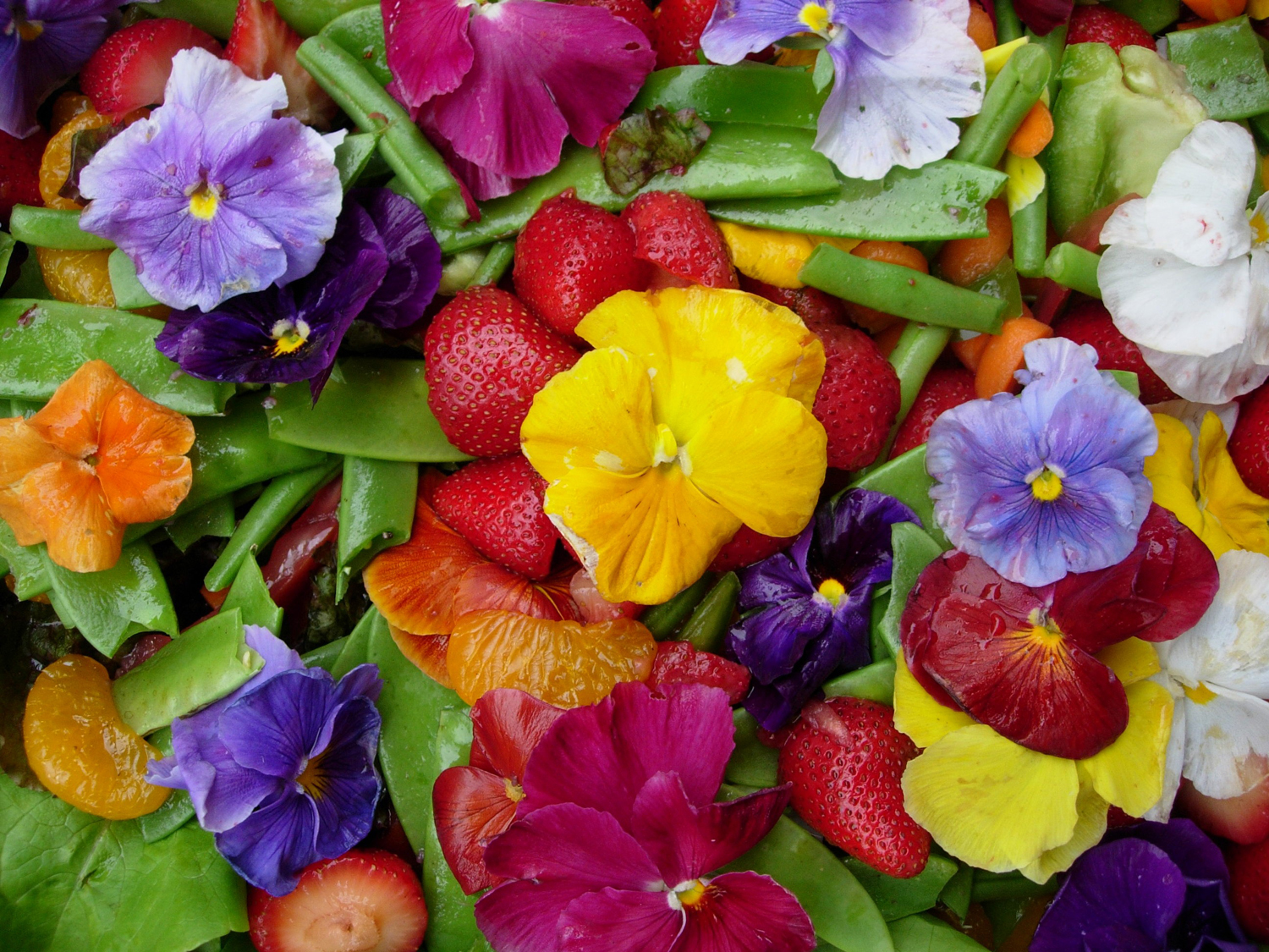 jardin comestible