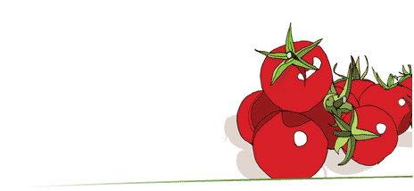 tomate