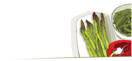 primavera