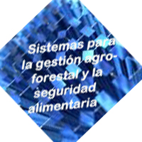 gestión
