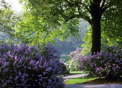 Ecojardines de abril