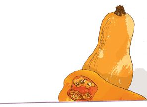 calabaza