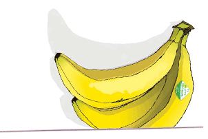 plátano