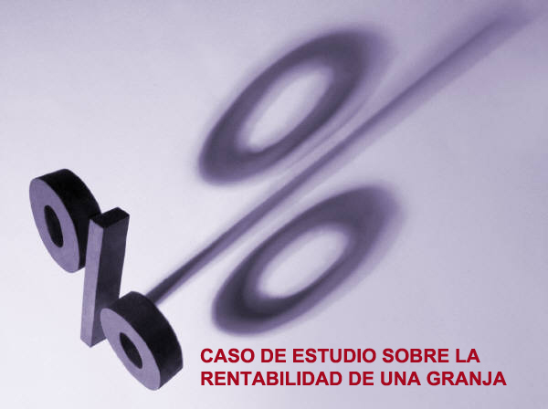 rentabilidad