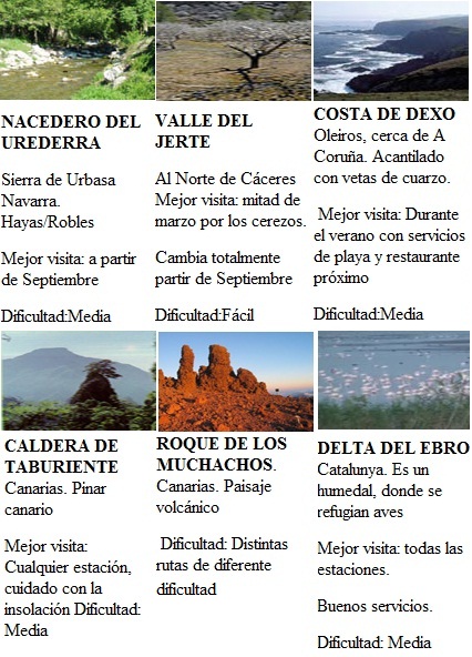 resumen