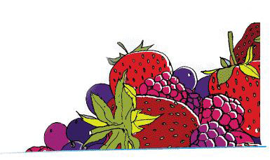 frutas del bosque