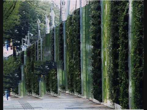 vertical2