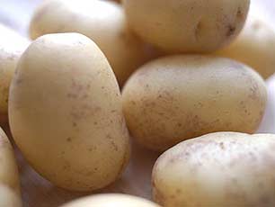 carbohidratos