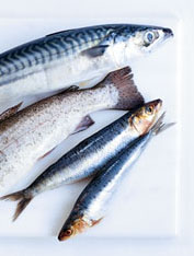 pescado azul