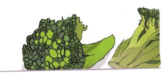 coliflor